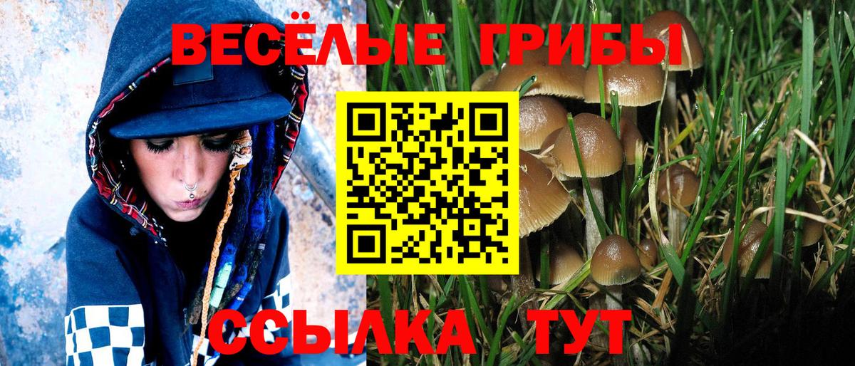 Галлюциногенные грибы Cubensis Богородицк