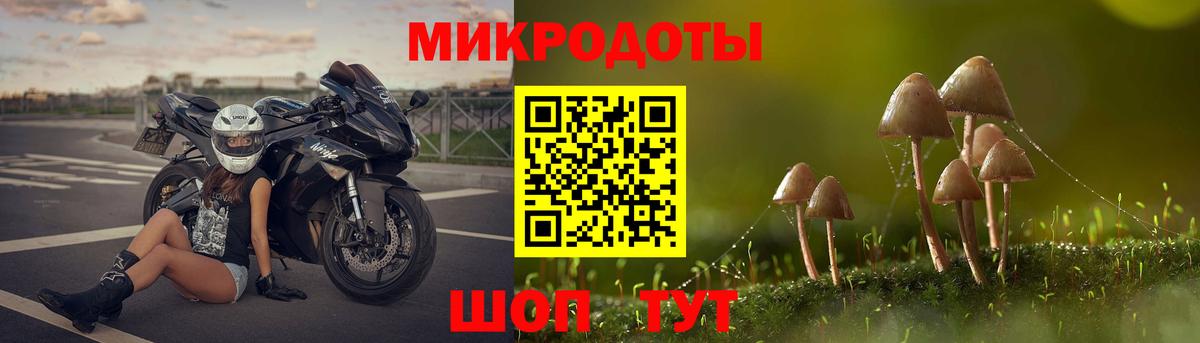 купить наркотик  Вход с VPN  Псилоцибиновые грибы мицелий  Богородицк  Псилоцибиновые грибы мухоморы 